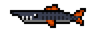Ashen Snapper