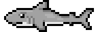 Bel' Cath Shark