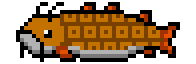 Big Meat Shield Fish