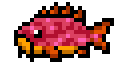 Gerdawn Grouper