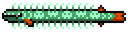 Lichfin Eel