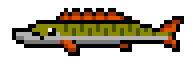 Picky Pike