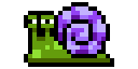 Slimy Snail