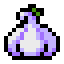 Big Garlic Bulb