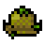 Cap of the Woods
